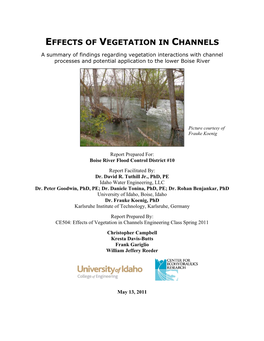 Effects of Vegetation in Channels