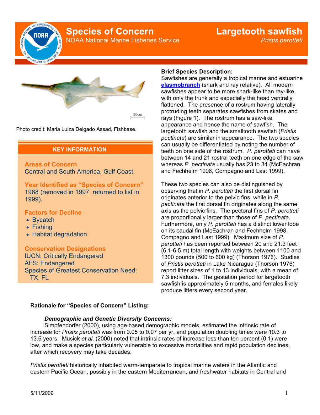 Largetooth Sawfish NOAA National Marine Fisheries Service Pristis Perotteti