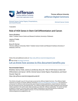 Role of HOX Genes in Stem Cell Differentiation and Cancer