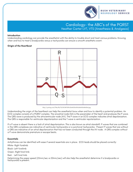 Cardiology- the ABC's of the PQRST