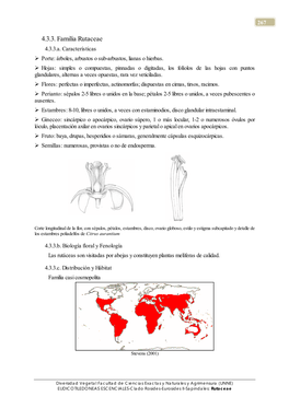 4.3.3. Familia Rutaceae 4.3.3.A