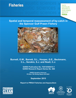 Spatial and Temporal Reassessment of By-Catch in the Spencer Gulf Prawn Fishery