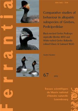Comparative Studies of Behaviour in Allopatric Subspecies of Grebes, Podicipedidae