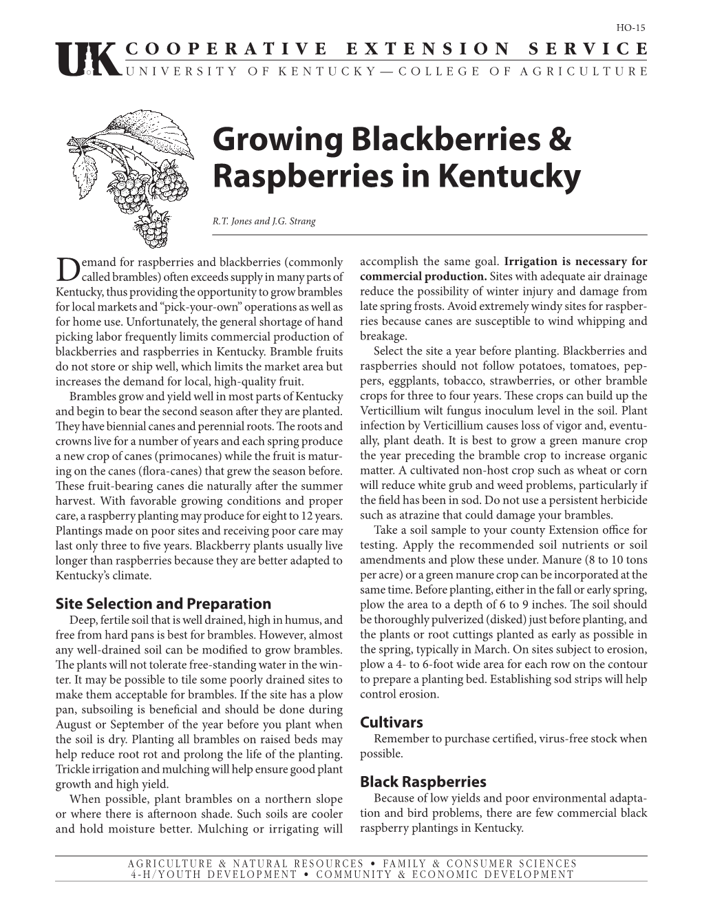 HO-15: Growing Blackberries & Raspberries in Kentucky