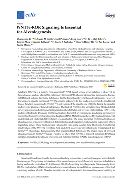 Wnt5a-ROR Signaling Is Essential for Alveologenesis