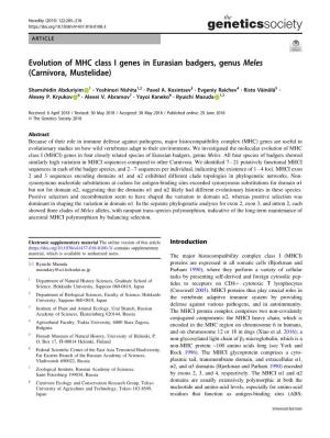 Evolution of MHC Class I Genes in Eurasian Badgers, Genus Meles (Carnivora, Mustelidae)