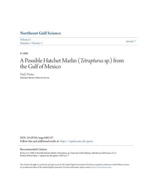 A Possible Hatchet Marlin (Tetrapturus Sp.) from the Gulf of Mexico Paul J