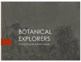 Botanical Explorers