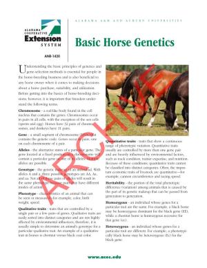 Basic Horse Genetics