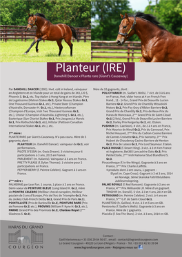 Planteur (IRE) Danehill Dancer X Plante Rare (Giant’S Causeway)