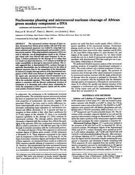 Nucleosome Phasing and Micrococcal Nuclease Cleavage of African Green Monkey Component a DNA (Nucleosomes and Chromatdn/Primate Dnas/DNA Sequence) PHILLIP R