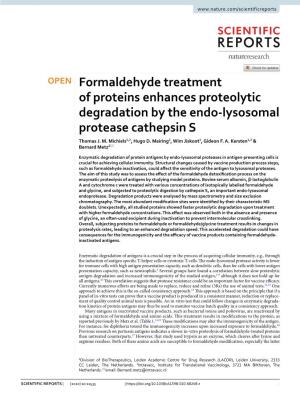 Formaldehyde Treatment of Proteins Enhances Proteolytic Degradation by the Endo-Lysosomal Protease Cathepsin S