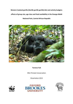 Western Lowland Gorilla (Gorilla Gorilla Gorilla) Diet and Activity Budgets: Effects of Group Size, Age Class and Food Availability in the Dzanga-Ndoki