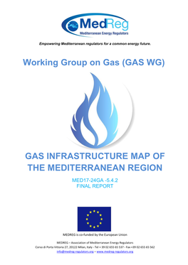 Gas Infrastructure Map of the Mediterranean Region