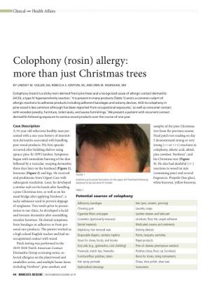 Colophony (Rosin) Allergy: More Than Just Christmas Trees