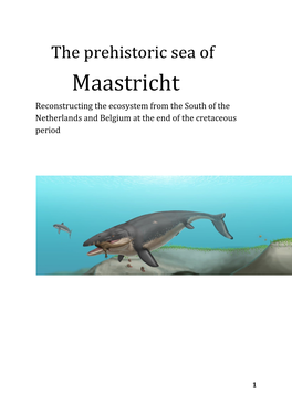 Maastricht Reconstructing the Ecosystem from the South of the Netherlands and Belgium at the End of the Cretaceous Period