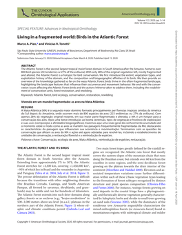 Living in a Fragmented World: Birds in the Atlantic Forest Marco A