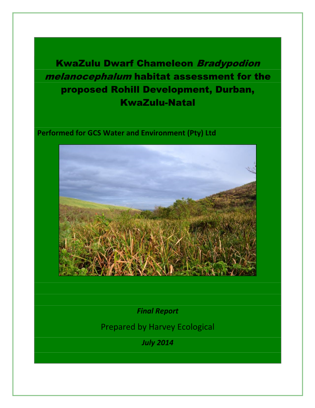 Kwazulu Dwarf Chameleon Bradypodion Melanocephalum Habitat Assessment for the Proposed Rohill Development, Durban, Kwazulu-Natal