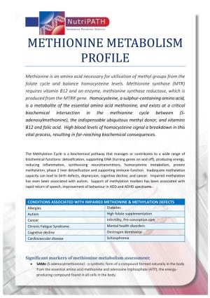 Methionine Metabolism Profile