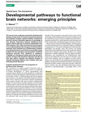 Developmental Pathways to Functional Brain Networks: Emerging Principles