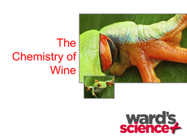 The Chemistry of Wine Facts!