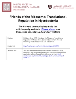 Friends of the Ribosome: Translational Regulation in Mycobacteria