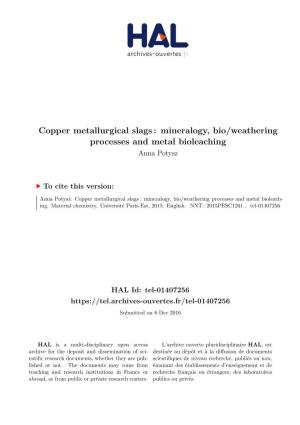 Copper Metallurgical Slags : Mineralogy, Bio/Weathering Processes and Metal Bioleaching Anna Potysz
