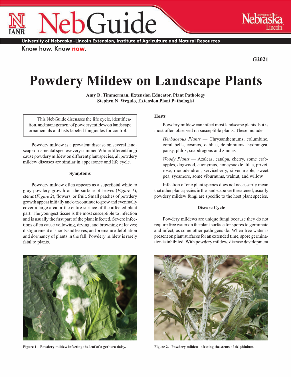 Powdery Mildew on Landscape Plants Amy D