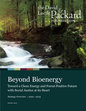 Beyond Bioenergy Toward a Clean Energy and Forest-Positive Future with Social Justice at Its Heart
