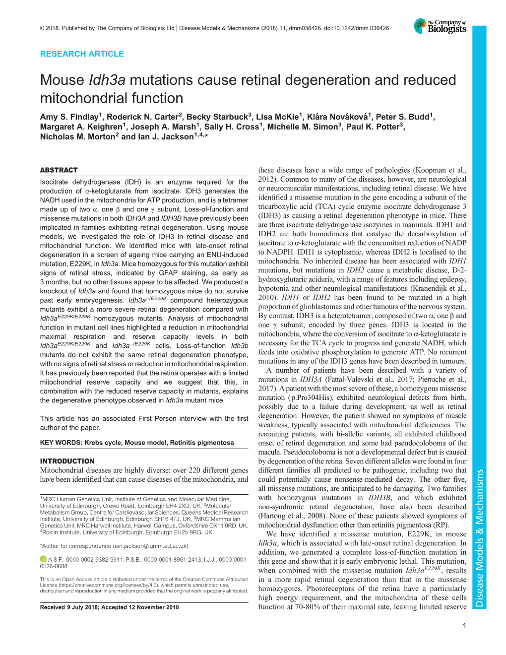 Mouse Idh3a Mutations Cause Retinal Degeneration and Reduced Mitochondrial Function Amy S