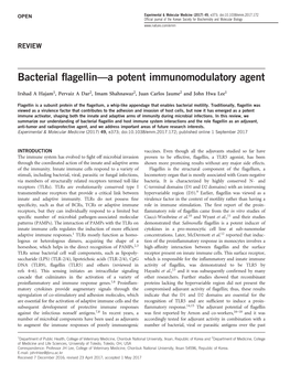 Bacterial Flagellin—A Potent Immunomodulatory Agent