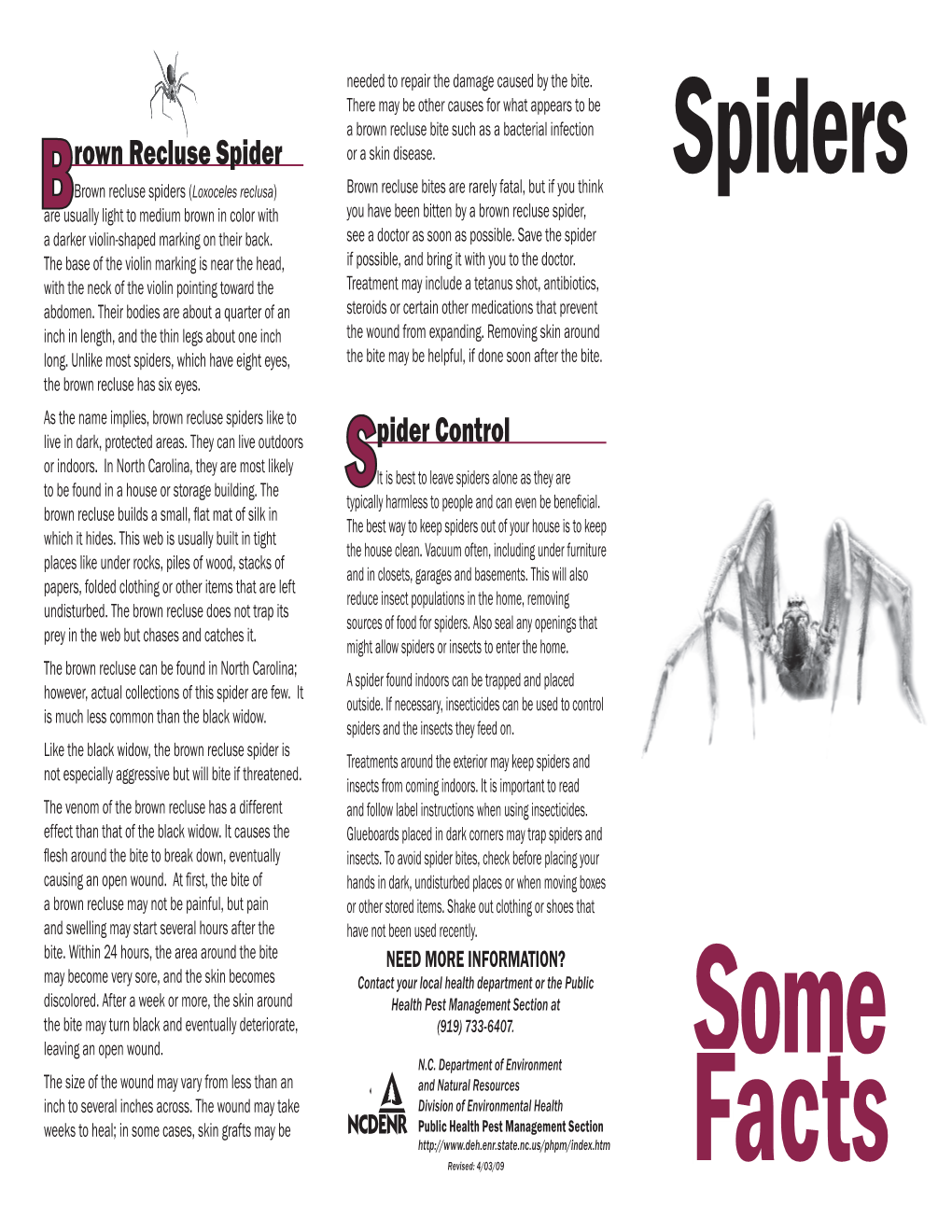 Brown Recluse Spider Spider Control