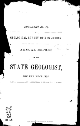 Annual Report of the State Geologist for the Year 1873
