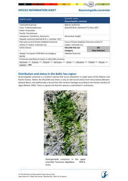 SPECIES INFORMATION SHEET Rosenvingiella Constricta Distribution and Status in the Baltic Sea Region