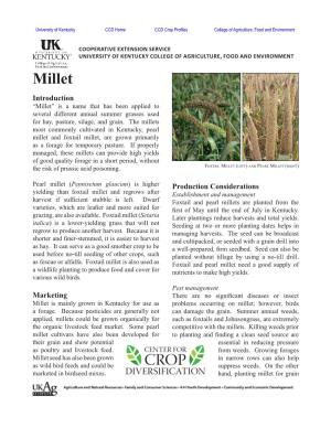 Millet Introduction “Millet” Is a Name That Has Been Applied to Several Different Annual Summer Grasses Used for Hay, Pasture, Silage, and Grain