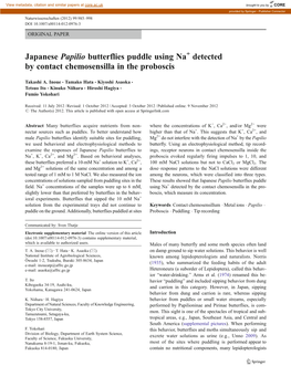 Japanese Papilio Butterflies Puddle Using Na Detected by Contact