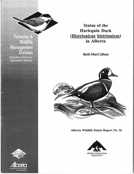 Status of Harlequin Duck in Alberta 2001