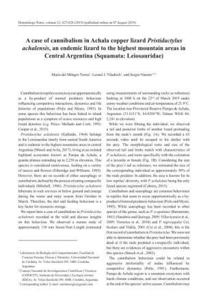 A Case of Cannibalism in Achala Copper Lizard Pristidactylus Achalensis, an Endemic Lizard to the Highest Mountain Areas in Central Argentina (Squamata: Leiosauridae)