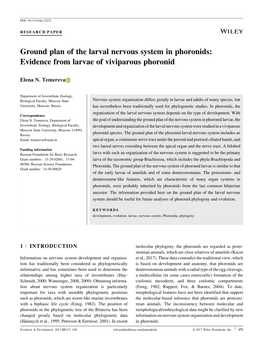 Ground Plan of the Larval Nervous System in Phoronids: Evidence from Larvae of Viviparous Phoronid