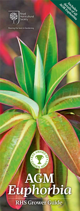 AGM Euphorbia 30–31