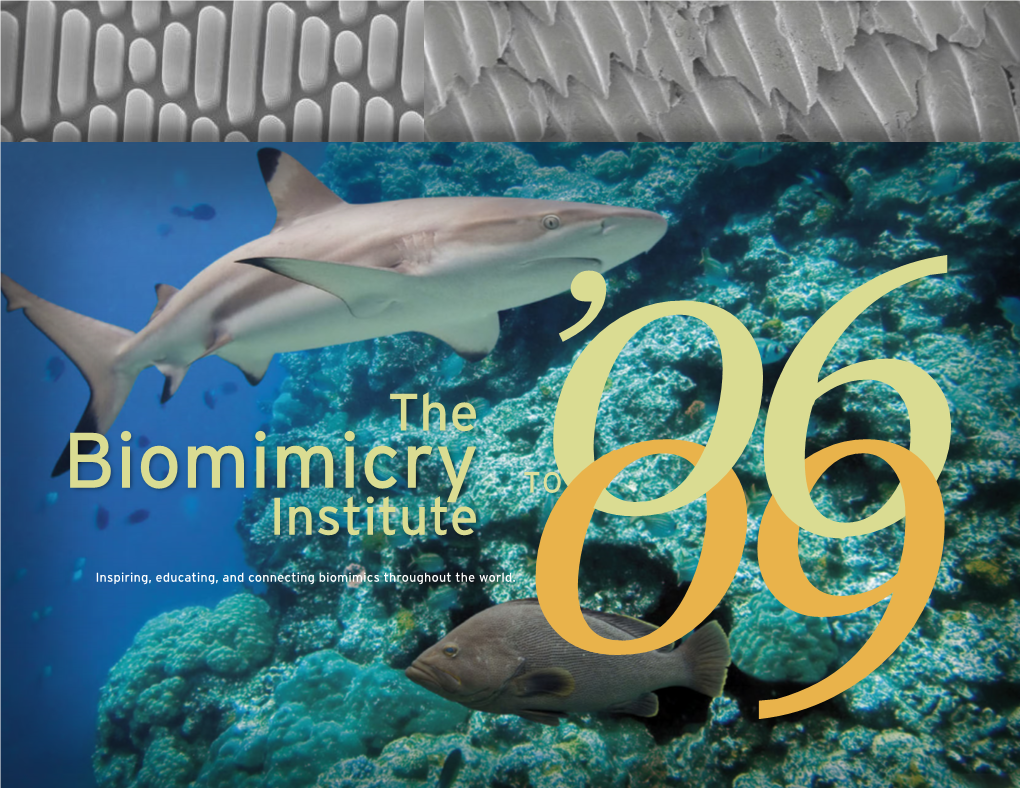 Biomimicry to Institute