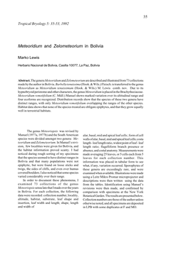 Meteoridium and Zelometeorium in Bolivia