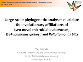Large-Scale Phylogenetic Analyses Elucidate the Evolutionary Affiliations of Two Novel Microbial Eukaryotes, Tsukubamonas Globosa and Palipitomonas Bilix