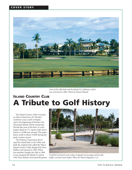A Tribute to Golf History