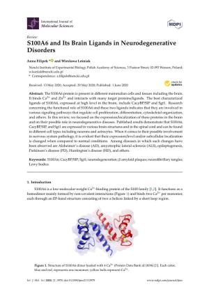 S100A6 and Its Brain Ligands in Neurodegenerative Disorders