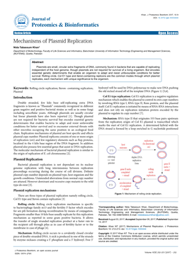 Mechanisms of Plasmid Replication