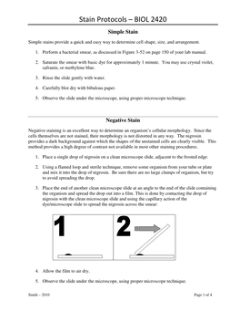 Stain Protocols – BIOL 2420