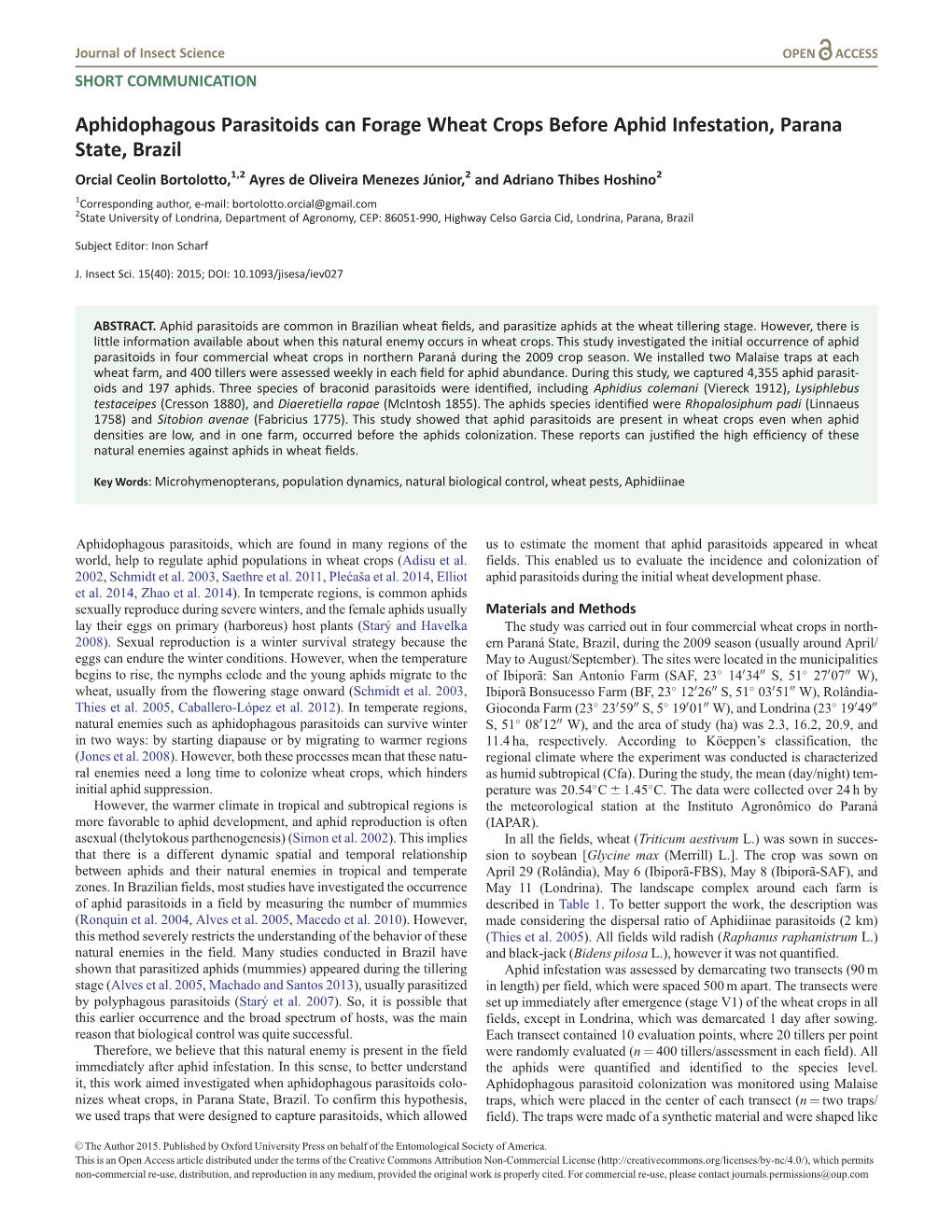 Aphidophagous Parasitoids Can Forage Wheat Crops Before Aphid