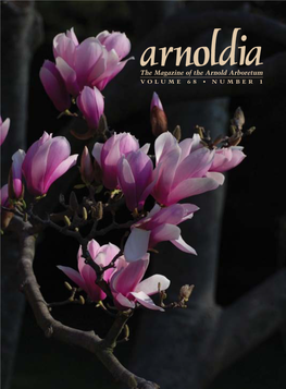 The Magazine of the Arnold Arboretum V O L U M E 6 8 • N U M B E R 1