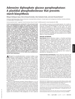 Adenosine Diphosphate Glucose Pyrophosphatase: a Plastidial Phosphodiesterase That Prevents Starch Biosynthesis